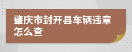 肇庆市封开县车辆违章怎么查