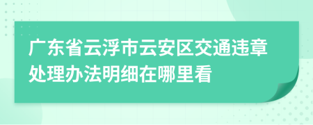 广东省云浮市云安区交通违章处理办法明细在哪里看