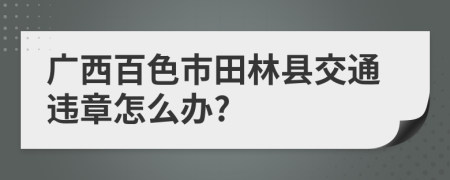 广西百色市田林县交通违章怎么办?