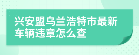 兴安盟乌兰浩特市最新车辆违章怎么查