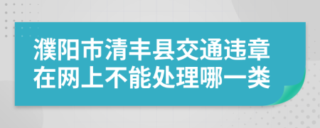 濮阳市清丰县交通违章在网上不能处理哪一类