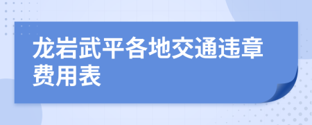 龙岩武平各地交通违章费用表