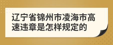 辽宁省锦州市凌海市高速违章是怎样规定的
