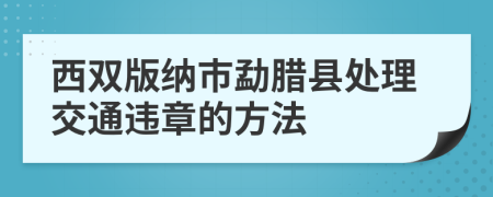 西双版纳市勐腊县处理交通违章的方法