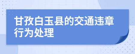 甘孜白玉县的交通违章行为处理