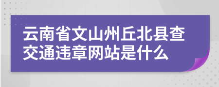 云南省文山州丘北县查交通违章网站是什么