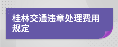 桂林交通违章处理费用规定