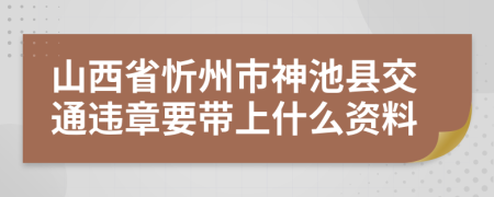 山西省忻州市神池县交通违章要带上什么资料