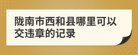 陇南市西和县哪里可以交违章的记录