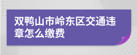 双鸭山市岭东区交通违章怎么缴费