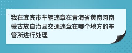 我在宜宾市车辆违章在青海省黄南河南蒙古族自治县交通违章在哪个地方的车管所进行处理