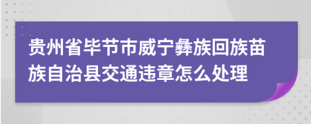 贵州省毕节市威宁彝族回族苗族自治县交通违章怎么处理