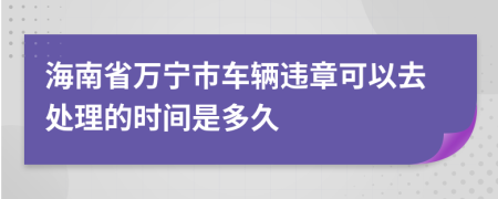 海南省万宁市车辆违章可以去处理的时间是多久