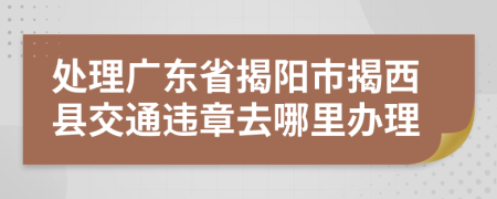 处理广东省揭阳市揭西县交通违章去哪里办理