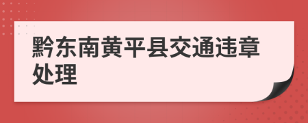 黔东南黄平县交通违章处理