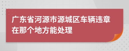 广东省河源市源城区车辆违章在那个地方能处理