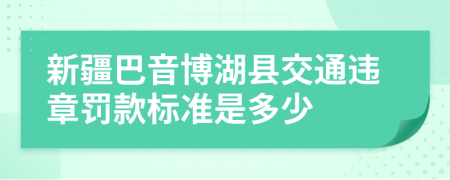 新疆巴音博湖县交通违章罚款标准是多少