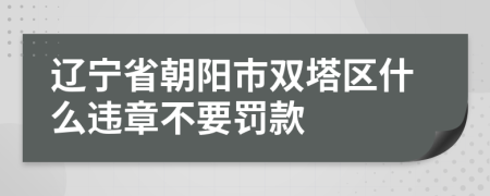 辽宁省朝阳市双塔区什么违章不要罚款