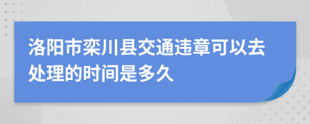 洛阳市栾川县交通违章可以去处理的时间是多久