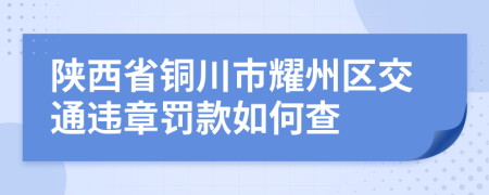 陕西省铜川市耀州区交通违章罚款如何查