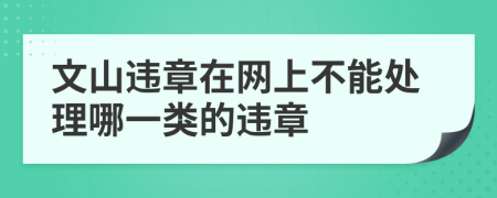 文山违章在网上不能处理哪一类的违章