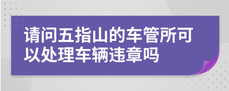 请问五指山的车管所可以处理车辆违章吗