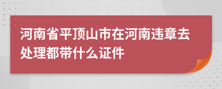 河南省平顶山市在河南违章去处理都带什么证件