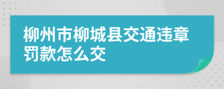 柳州市柳城县交通违章罚款怎么交