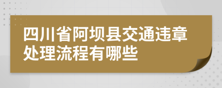 四川省阿坝县交通违章处理流程有哪些