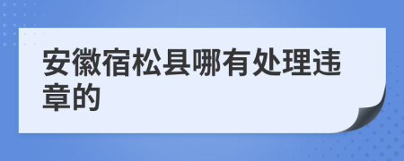 安徽宿松县哪有处理违章的