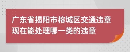 广东省揭阳市榕城区交通违章现在能处理哪一类的违章