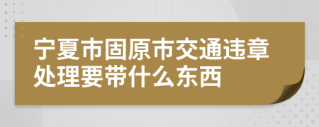 宁夏市固原市交通违章处理要带什么东西