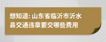 想知道: 山东省临沂市沂水县交通违章要交哪些费用