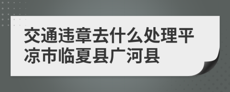 交通违章去什么处理平凉市临夏县广河县