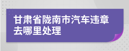 甘肃省陇南市汽车违章去哪里处理