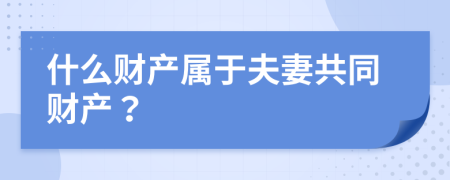 什么财产属于夫妻共同财产？