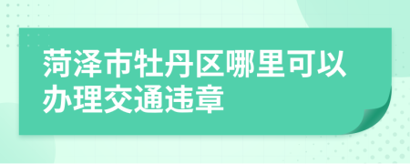 菏泽市牡丹区哪里可以办理交通违章