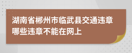 湖南省郴州市临武县交通违章哪些违章不能在网上