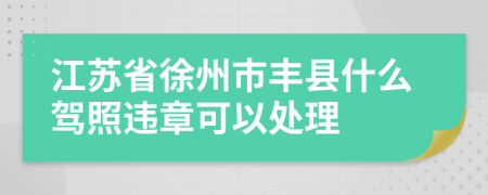 江苏省徐州市丰县什么驾照违章可以处理