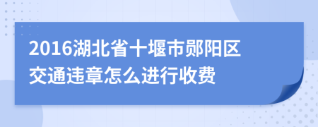 2016湖北省十堰市郧阳区交通违章怎么进行收费