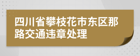 四川省攀枝花市东区那路交通违章处理