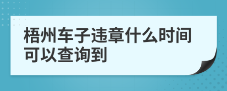 梧州车子违章什么时间可以查询到