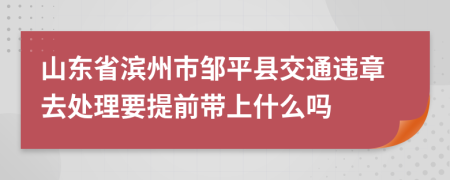 山东省滨州市邹平县交通违章去处理要提前带上什么吗