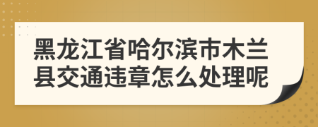 黑龙江省哈尔滨市木兰县交通违章怎么处理呢