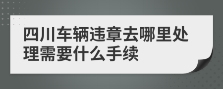 四川车辆违章去哪里处理需要什么手续