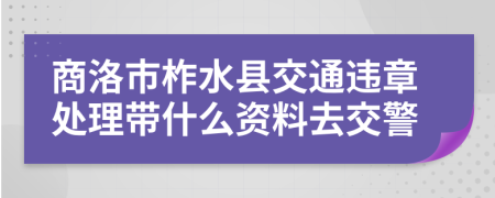 商洛市柞水县交通违章处理带什么资料去交警