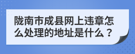 陇南市成县网上违章怎么处理的地址是什么？