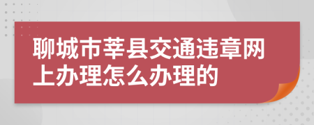 聊城市莘县交通违章网上办理怎么办理的