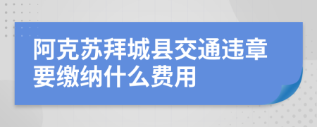 阿克苏拜城县交通违章要缴纳什么费用