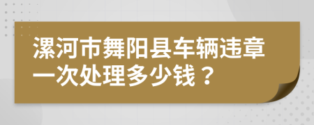 漯河市舞阳县车辆违章一次处理多少钱？